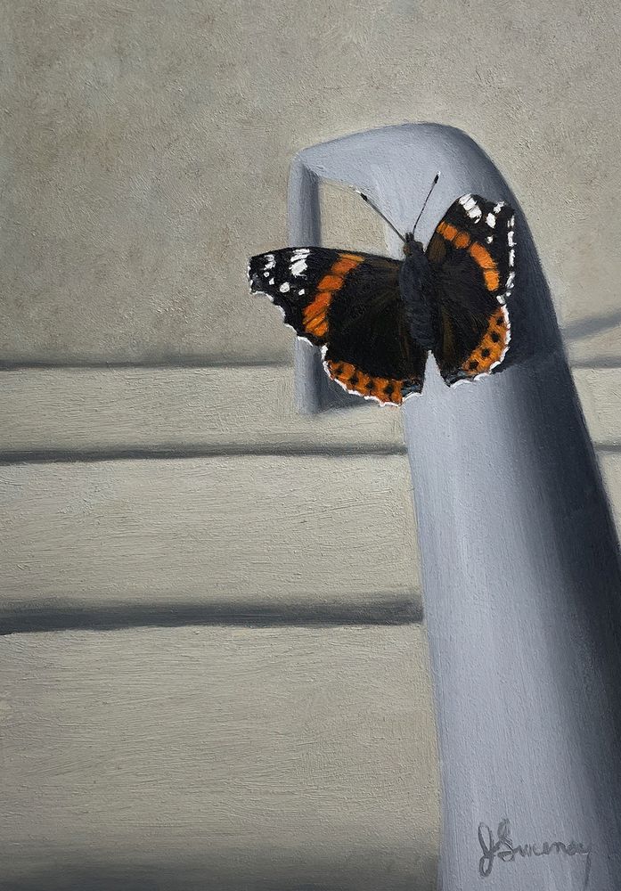 A black and orange red admiral butterfly on a metal railing over a staircase. The tip of one wing is broken.