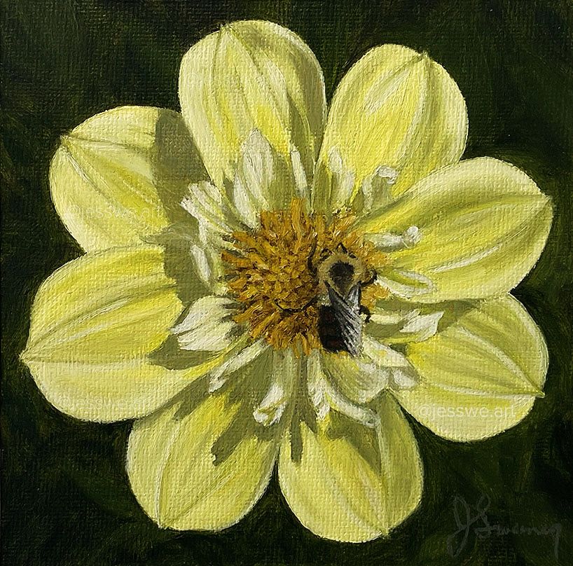 A small square oil painting of a yellow dahlia with a bee on it. Dark green leafy background