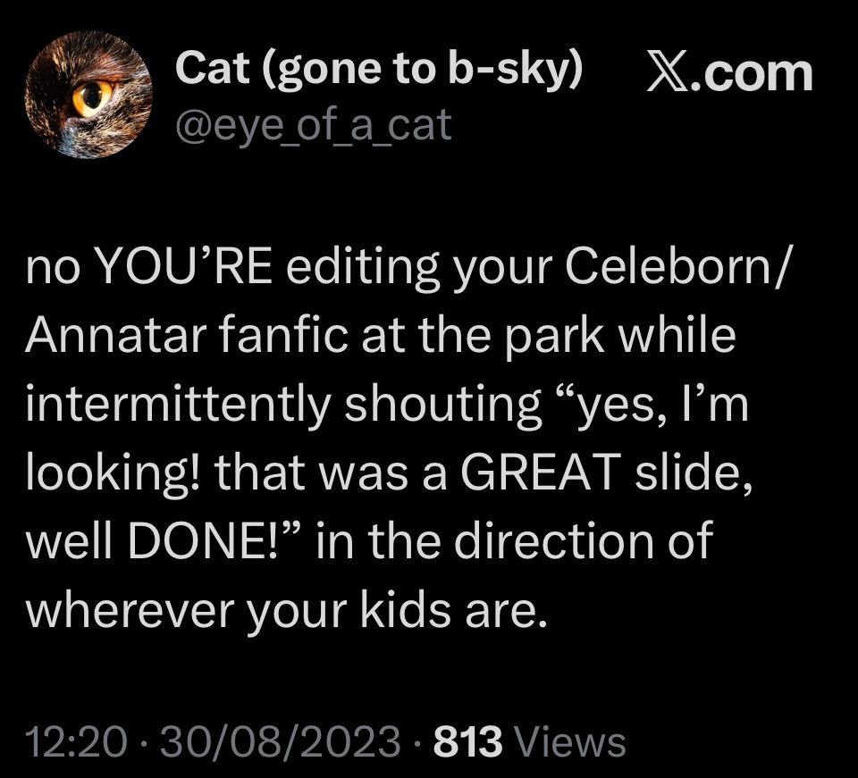screenshot of a tweet: “Cat (gone to b-sky) X.com
@eye_of_a_cat
no YOU'RE editing your Celeborn/ Annatar fanfic at the park while intermittently shouting "yes, I'm looking! that was a GREAT slide, well DONE!" in the direction of wherever your kids are.
12:20 • 30/08/2023 • 813 Views”