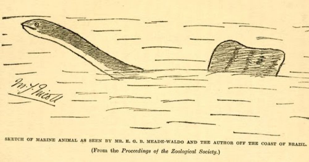 The most puzzling "sea serpent" of all time