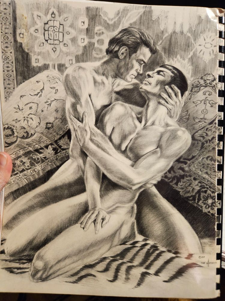 Not safe for work. Illustration by The Southern Cross of naked Kirk and Spock embracing.