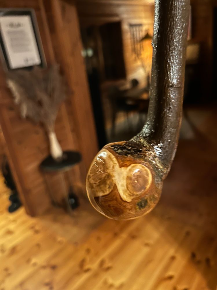Pearwood shillelagh with wood interior background