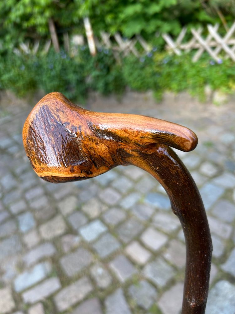 Carved knobby head of an applewood cane (gloss finish), partial bark-on
