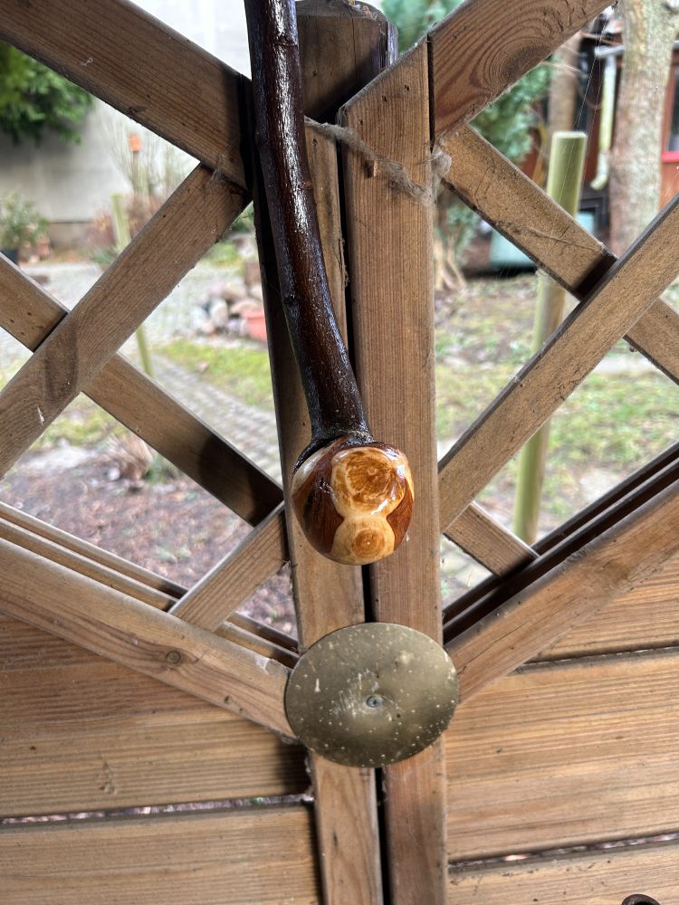 Pearwood shillelagh in outdoor woodshed
