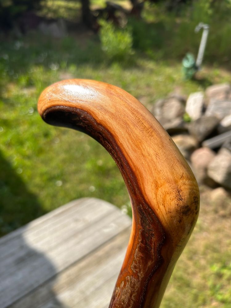 Plumwood cudgel head with curved wood grain