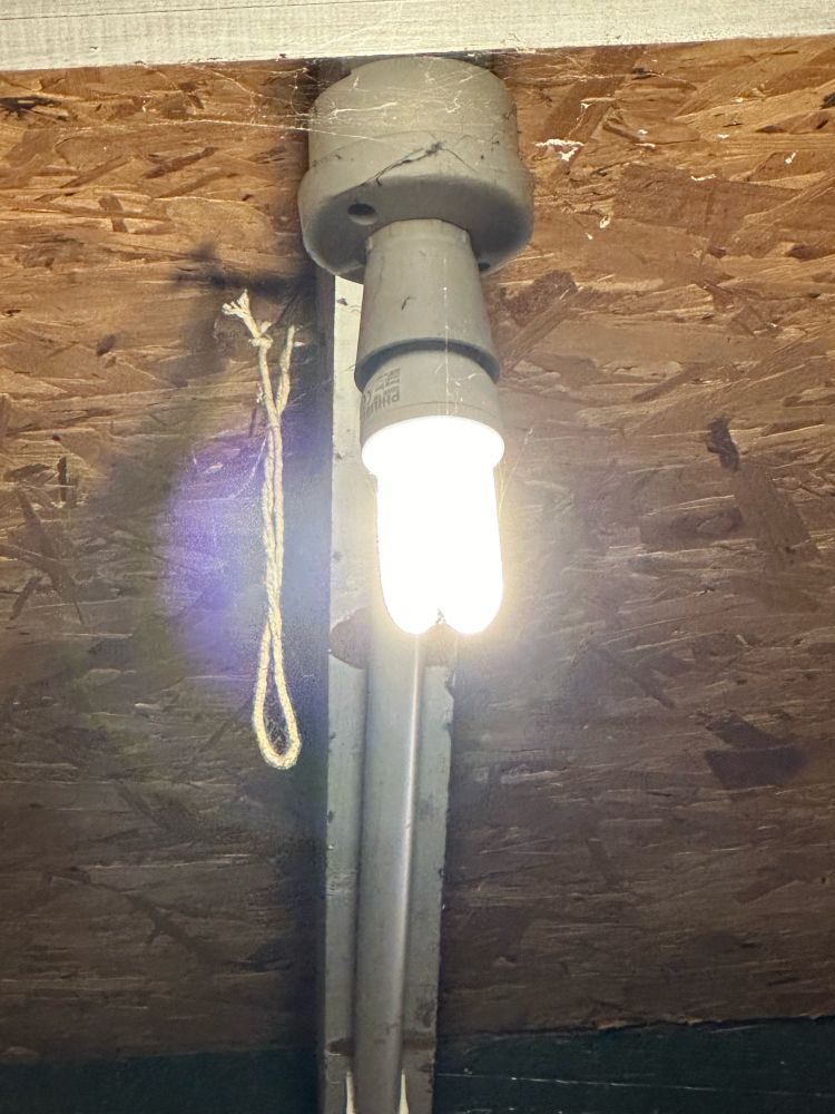 A compact fluorescent lamp (CFL), also called compact fluorescent light, energy-saving light and compact fluorescent tube, is a fluorescent lamp designed to replace an incandescent light bulb; some types fit into light fixtures designed for incandescent bulbs. The lamps use a tube that is curved or