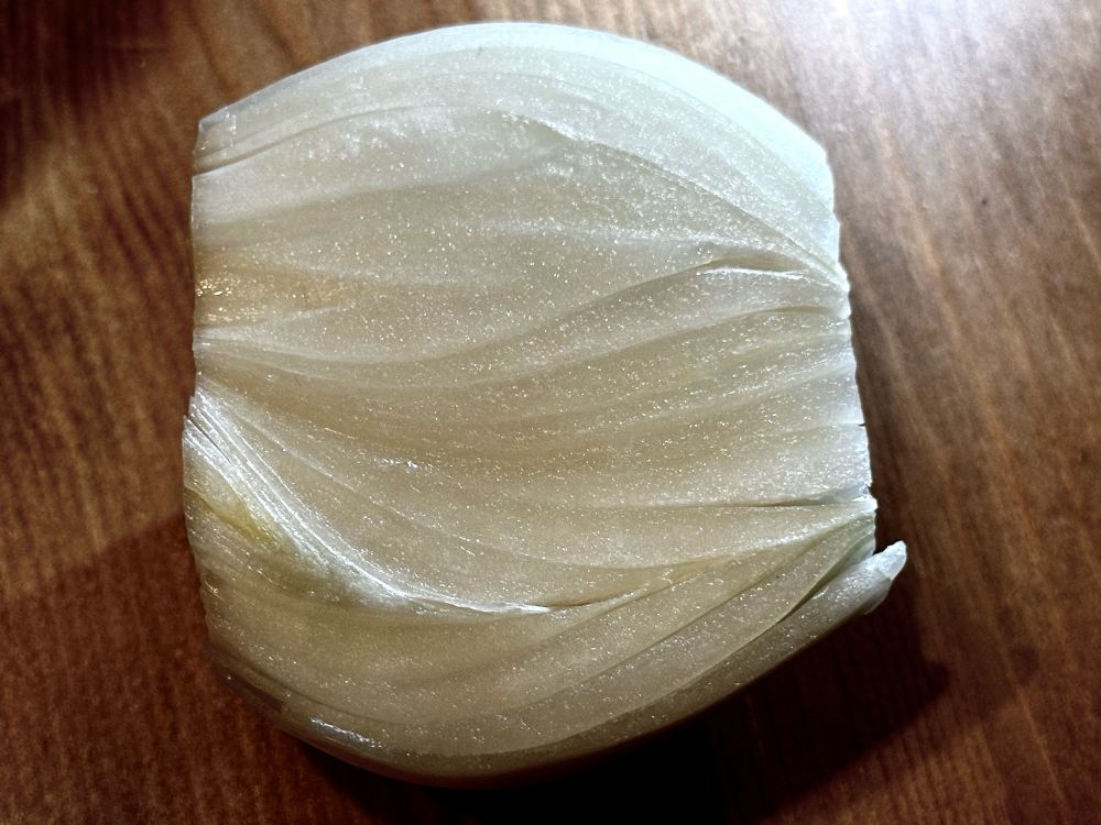 cross section of internal multi onion