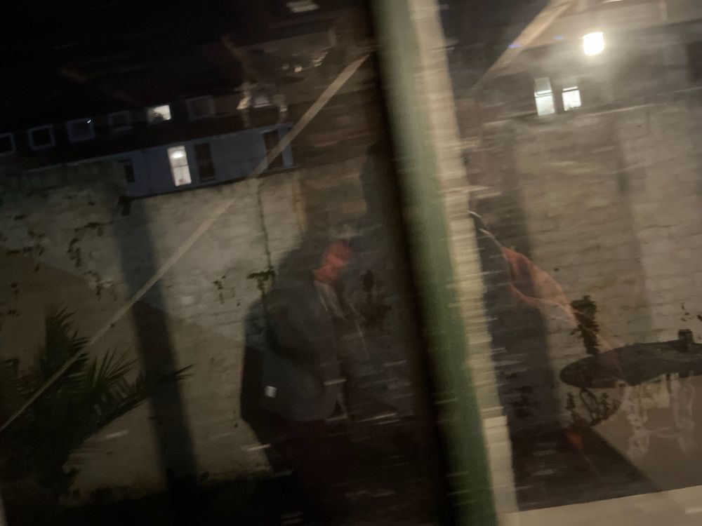 blurry photo of me in the garden through a window