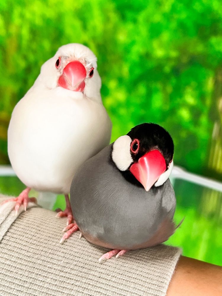 2023年10月20日
ひのき🤍けやき🩶