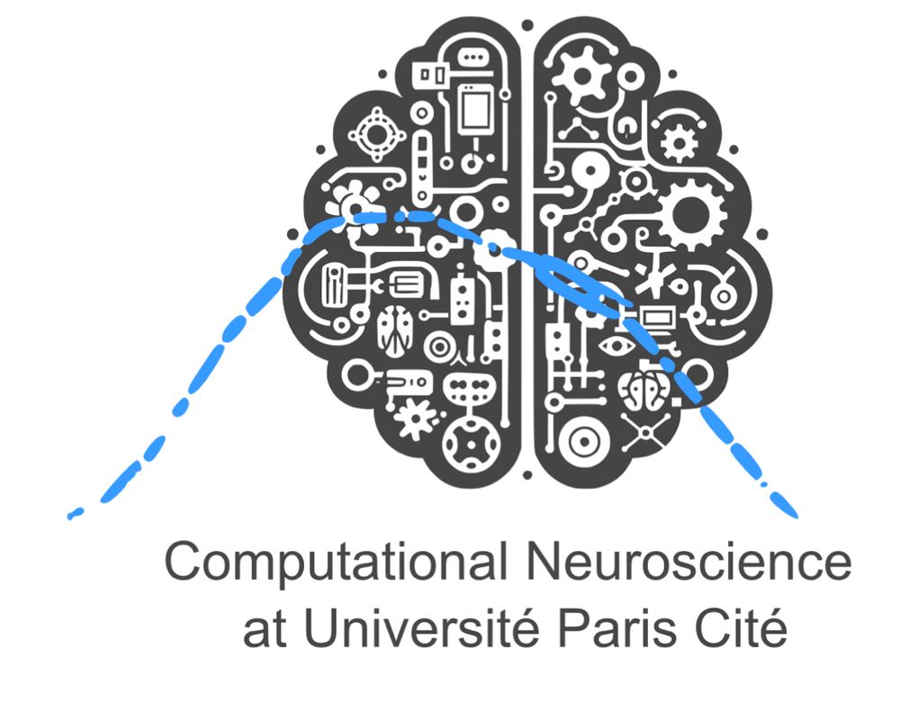 Brain with a gaussian representing the Seine in Paris. Logo of the Computational Neuroscience workshop at Université Paris Cité.