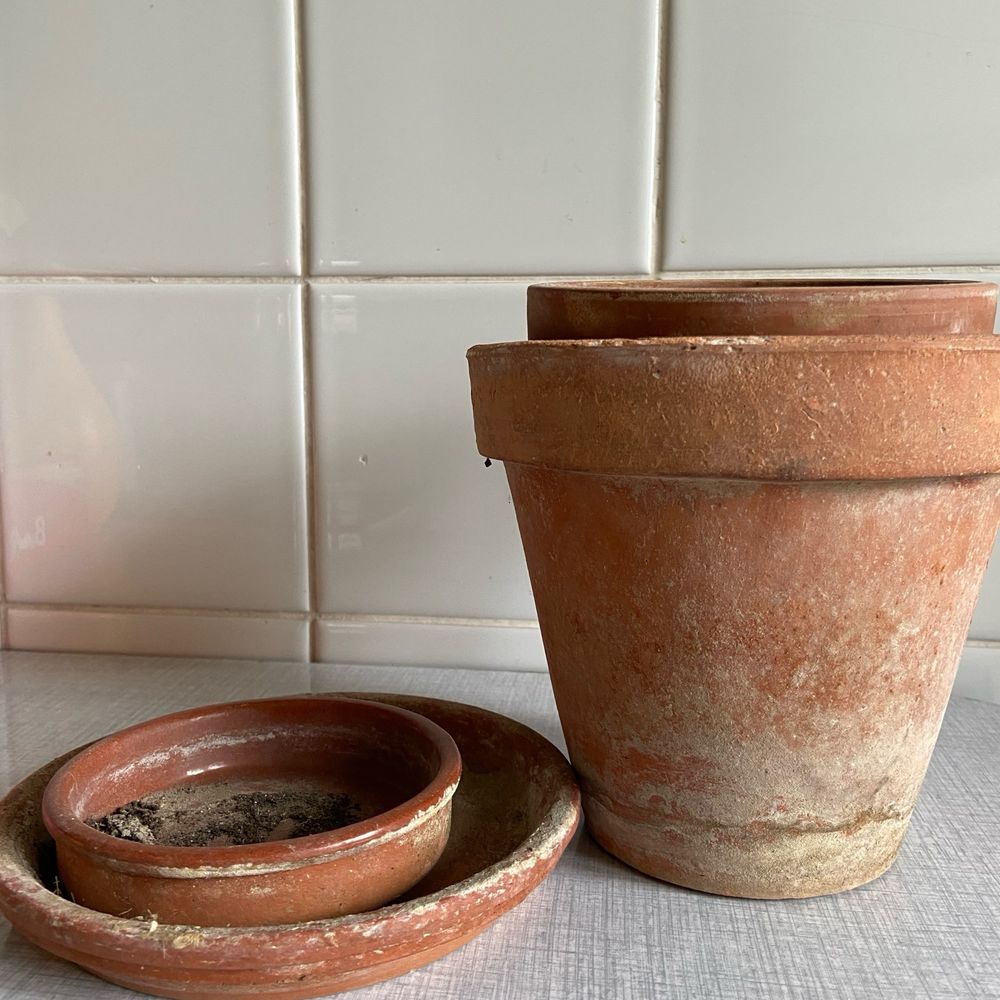 terracotta plants pots and saucers found on the street 