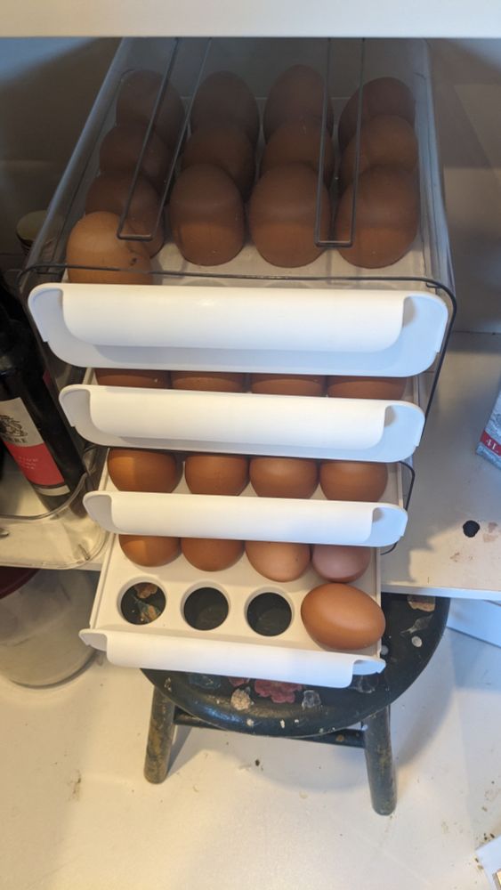 Eggs.  Lots and lots of eggs in a pantry.