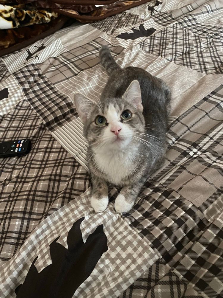 Being a cutie patootie when she knows she’s in trouble 