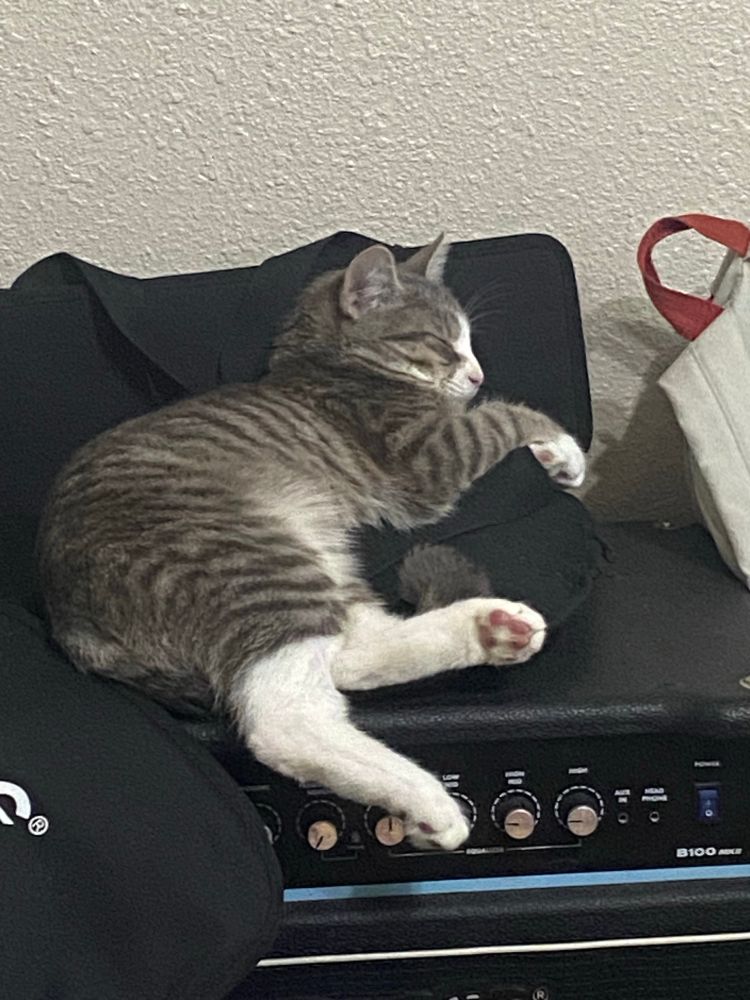 Like to sleep in my dad stereo 