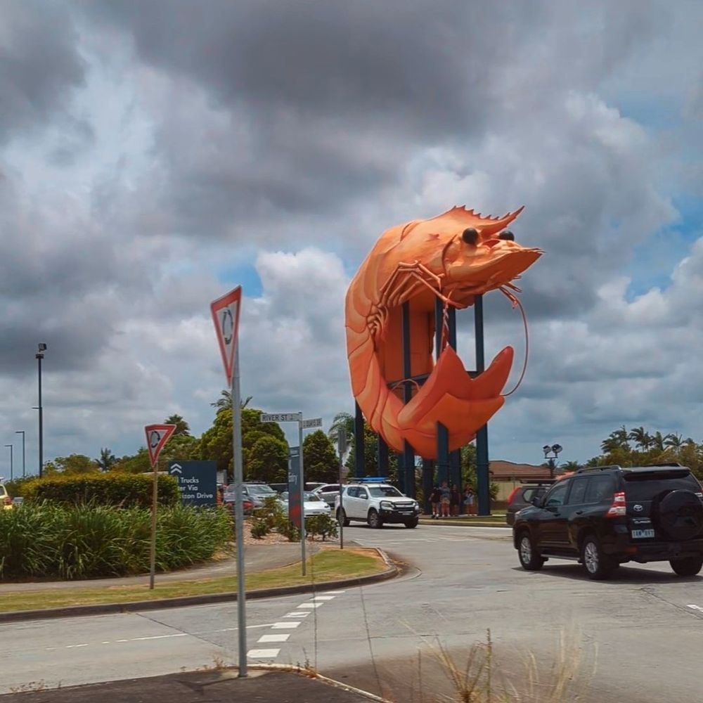 Statue of a giant orange prawn (Called "The Big Prawn") at a roundabout on the outskirts of Ballina in NSW's North Coast. The prawn stands about 3-4 stories high above the traffic in the foreground.