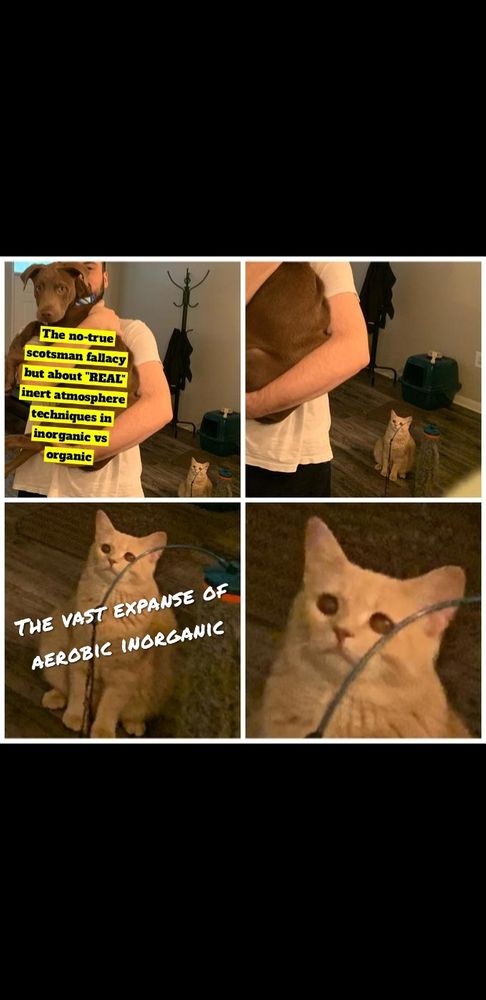 Four square meme of personal holding dog while progressively zooming in on sad neglected cat each pan.

Dog panel says "no true Scotsman fallacy about inorganic chemists and REAL inert atmosphere techniques" 

Cat on zoom says "vast examples of aerobic inorganic"