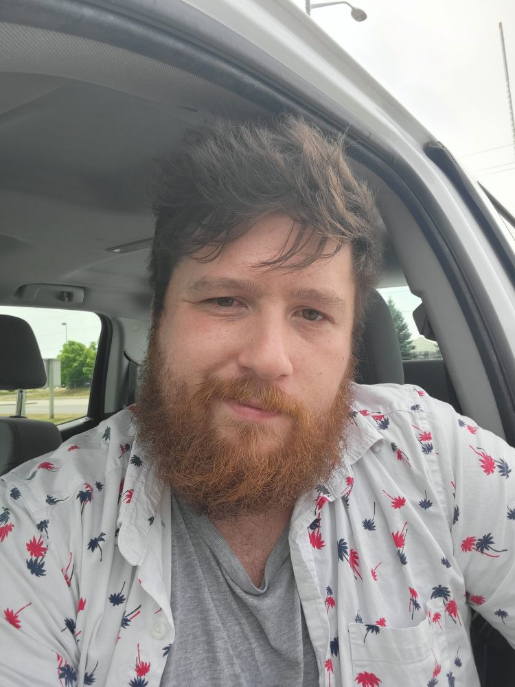 A very bushy wildman with an unkempt beard and crazy hair