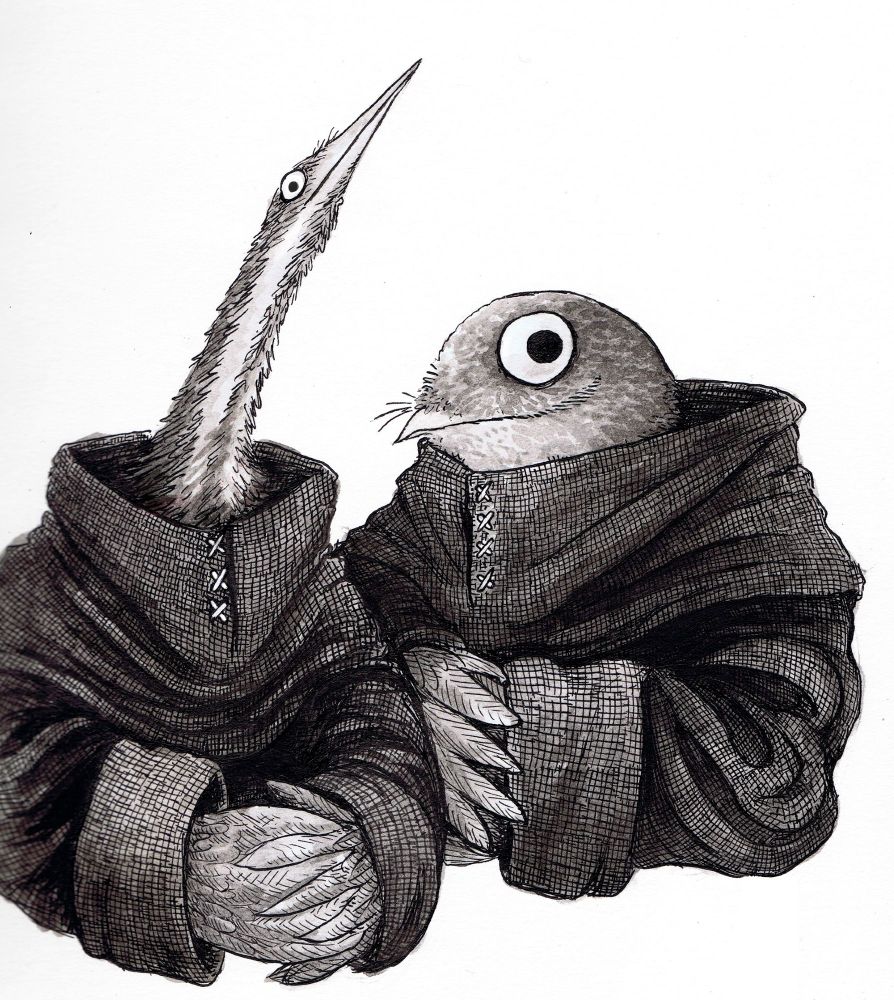 brother ignatz the bittern and brother solomon the nightjar