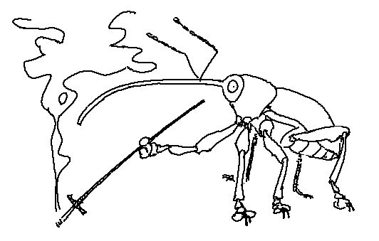 weevil with a cig