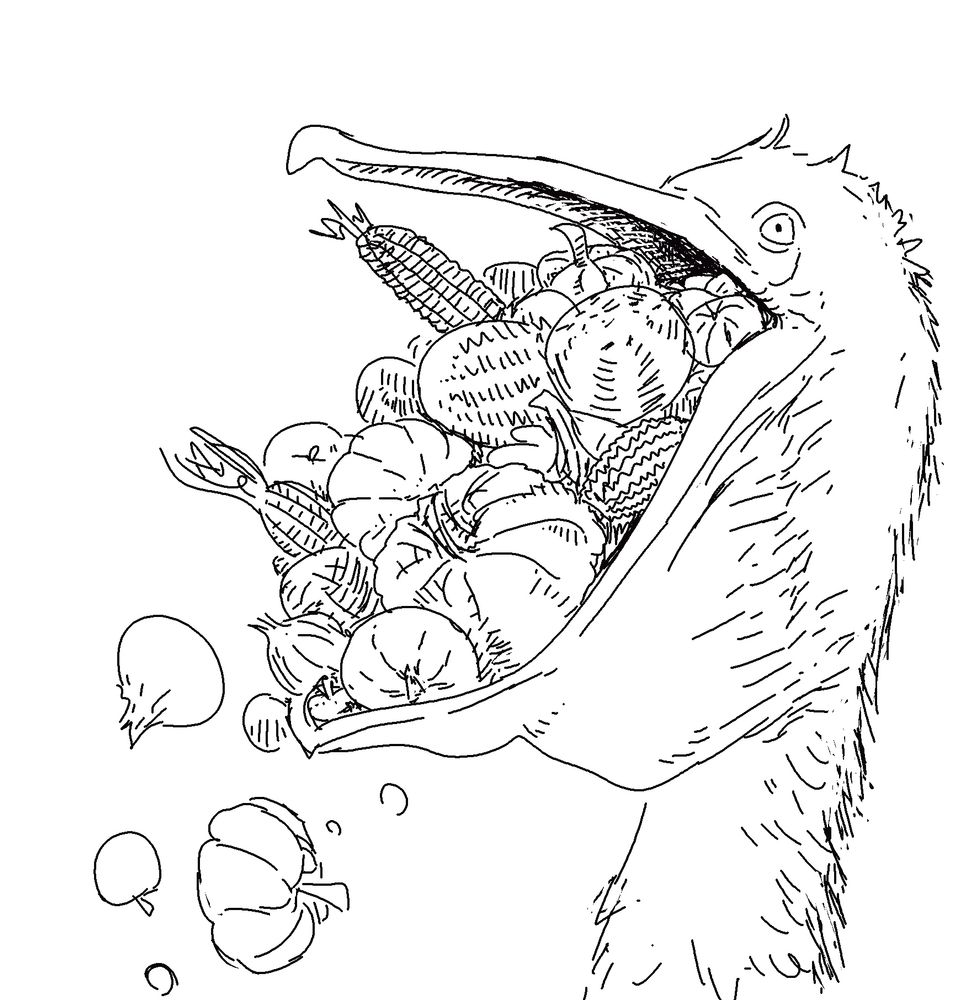 it turns out pelicans and cormorants aren't even in the same order which is fucked up and also ruins the pun but too fucking bad. 