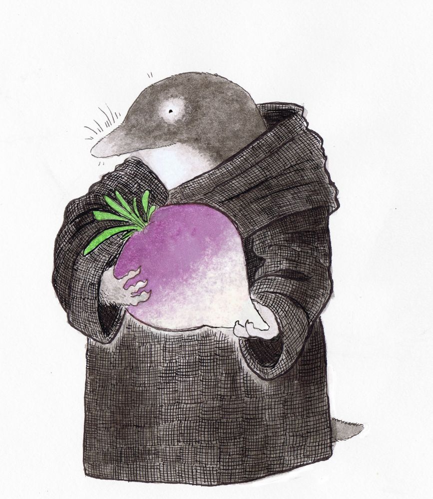 a proud father of an enormous rutabaga. brother shrew's gonna win so many awards at the annual monastery garden festival