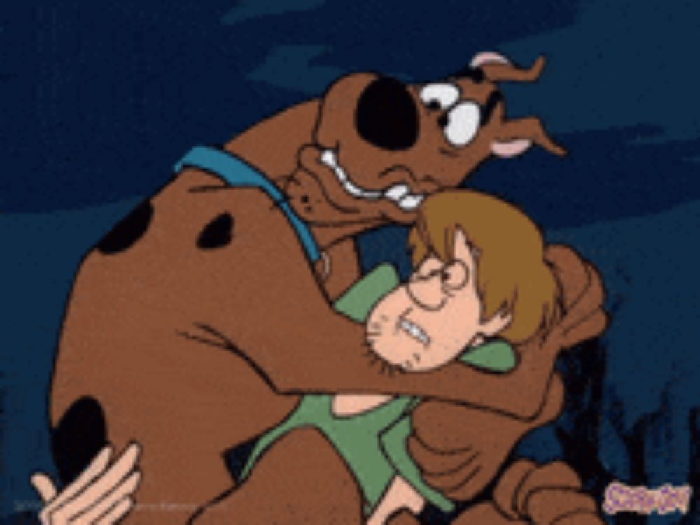 scooby doo and shaggy from the scooby doo show