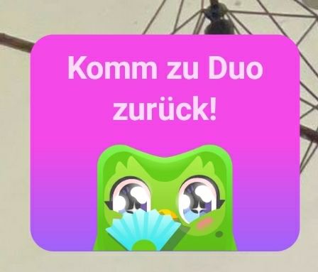 Die Eule guckt wieder verliebt. Darüber steht "Komm zu Duo zurück!".