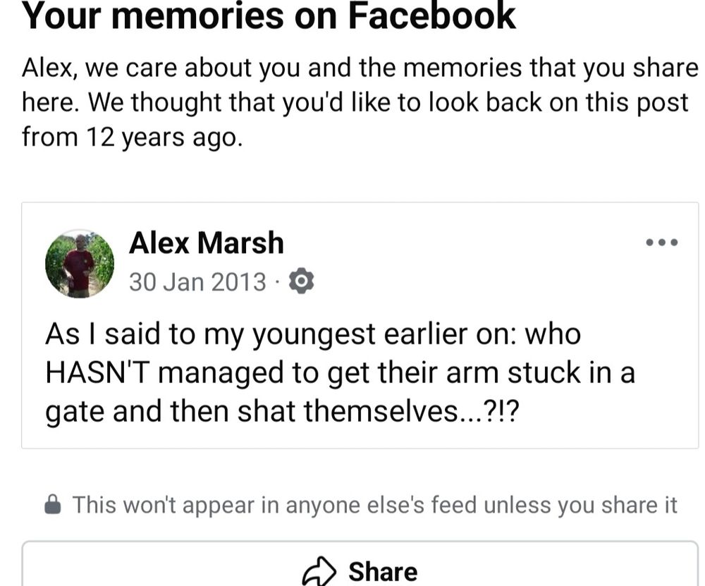 A Facebook post from over a decade ago that reads: "As I said to my youngest earlier on: who HASN'T managed to get their arm stuck in a gate and then shat themselves?"