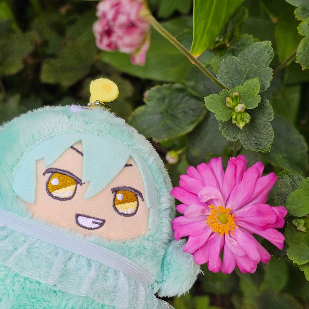 秋明菊とモンちゃん