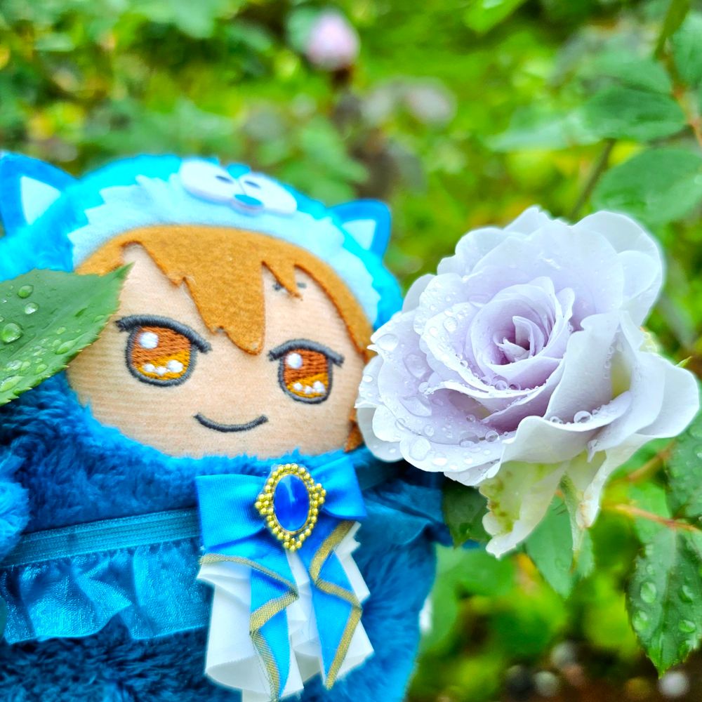 青い薔薇とモンちゃん