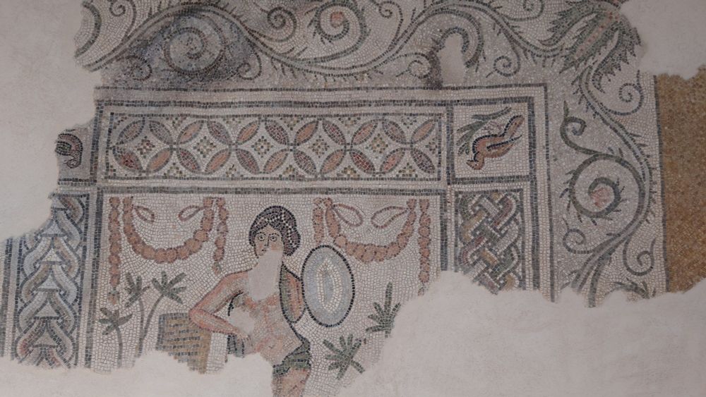 Venere 