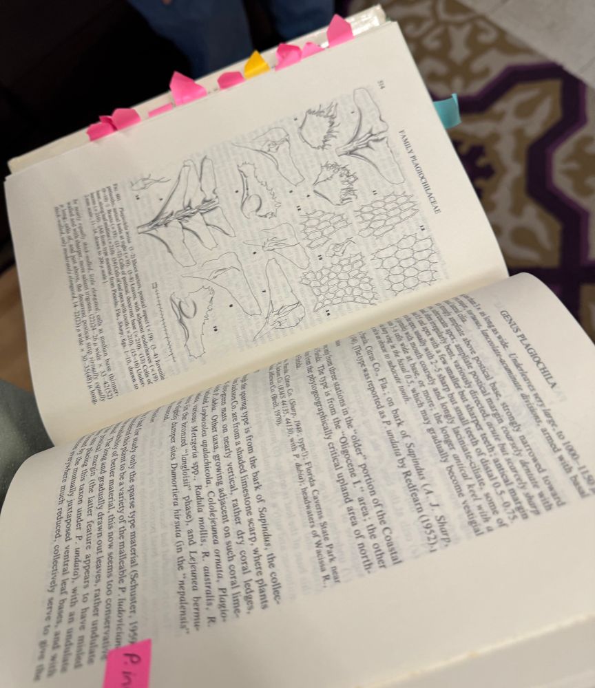 Finished product of scientific illustrations in a book 