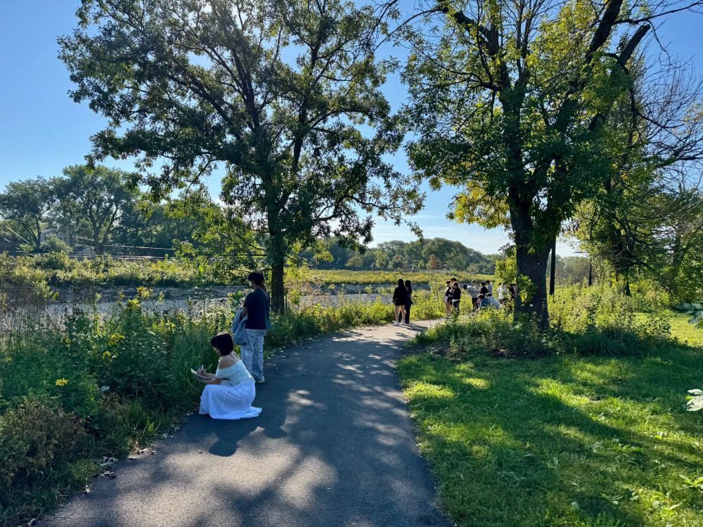 Students engaging in pollinator surveys outdoors by the Chicago river
