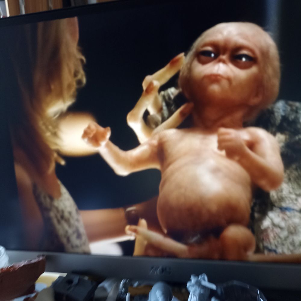 Photo d'un bébé alien chauve on dirait blanquer