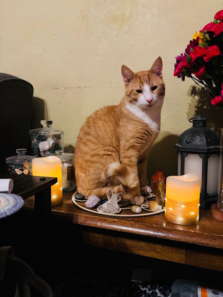 Orange cat sitting on top a crystal grid—of which he’s knocked over and re-arranged most of the crystals. He does not appear apologetic about it, either. 