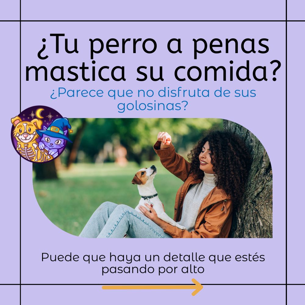 ¿Tu perro a penas mastica su comida? ¿Parece que no disfruta de sus golosinas? Puede que haya un detalle que estés pasando por alto