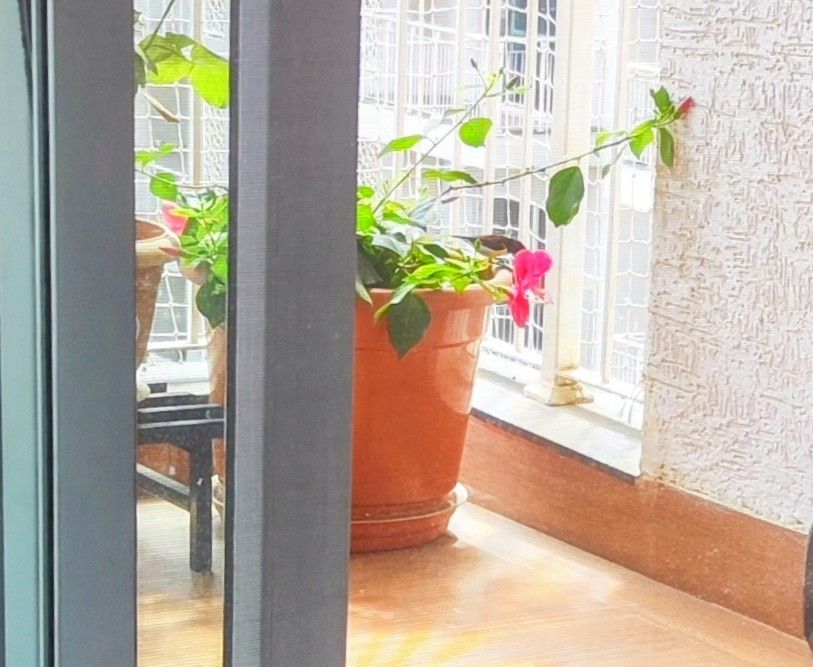 Poor-resolution image of a bird pecking at a red hibiscus flower.