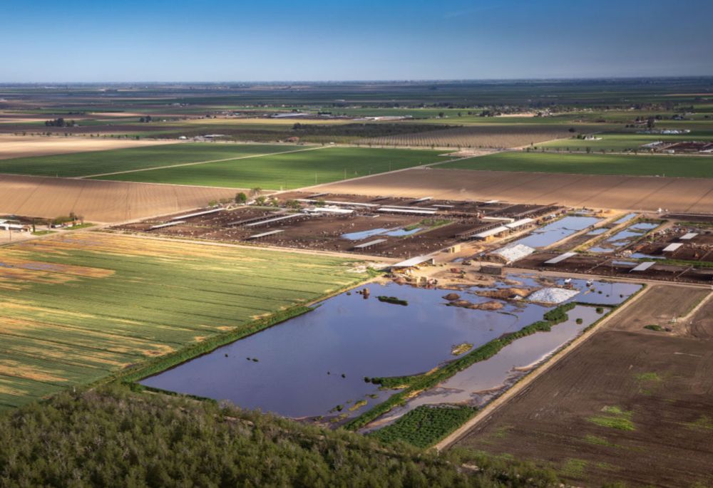 Dairies in California’s Central Valley pollute with state support