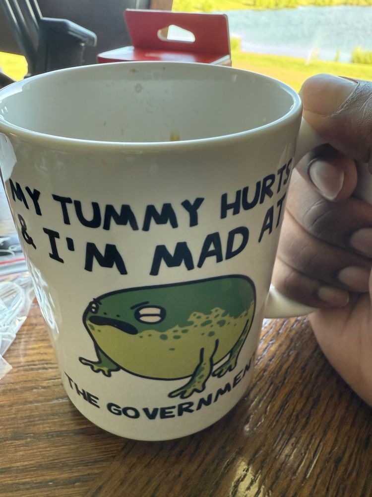 My tummy hurts and I’m mad the the government coffee mug 