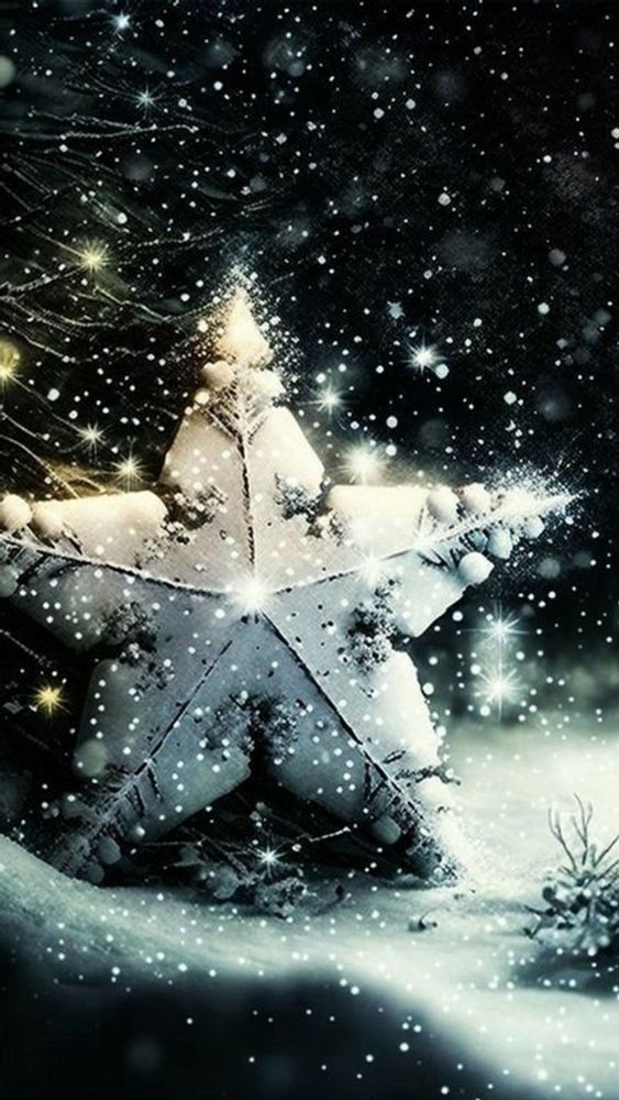 Mit Schnee bedeckter Weihnachtsstern