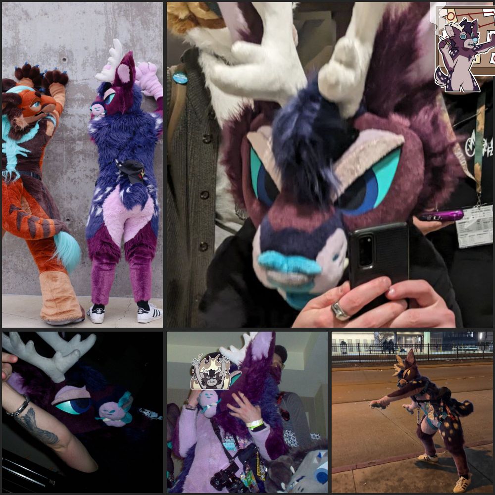 Collage of fursuit pictures (deer fursuit hands against a wall, on his phone, pointing at the camera, playing in traffic)
