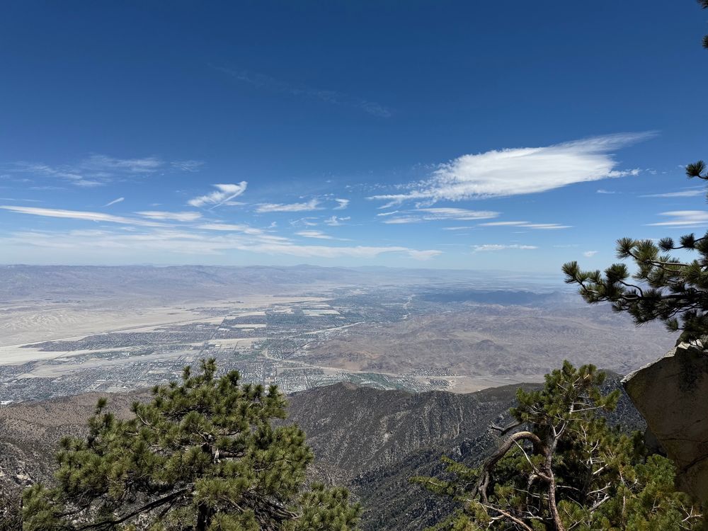 Desert view 