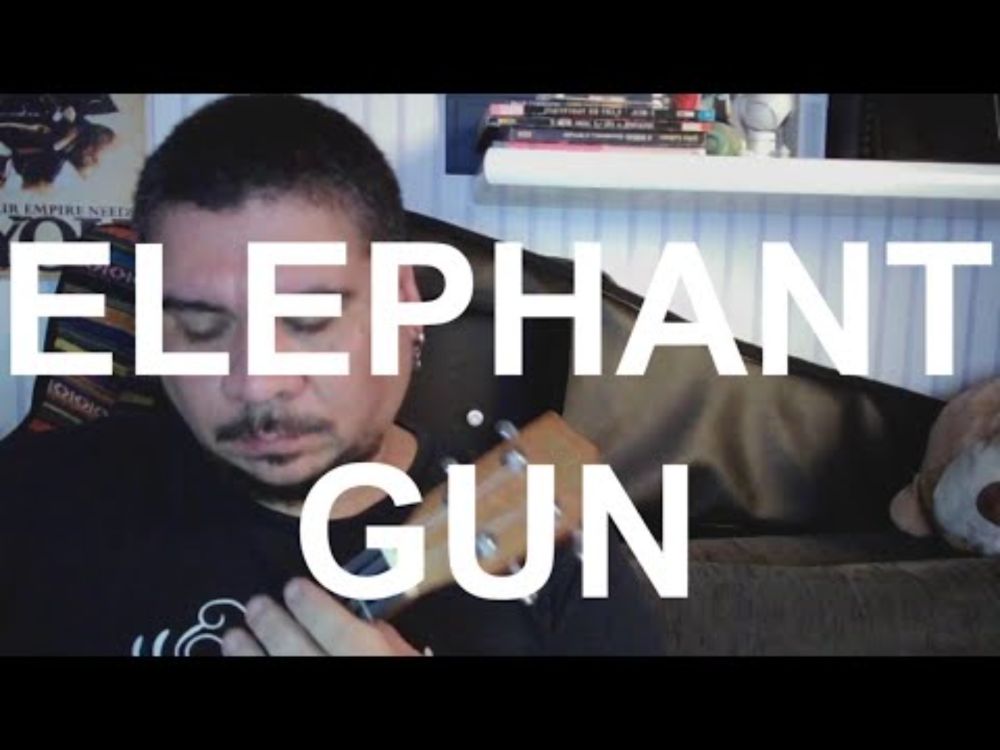 Elephant Gun Cover