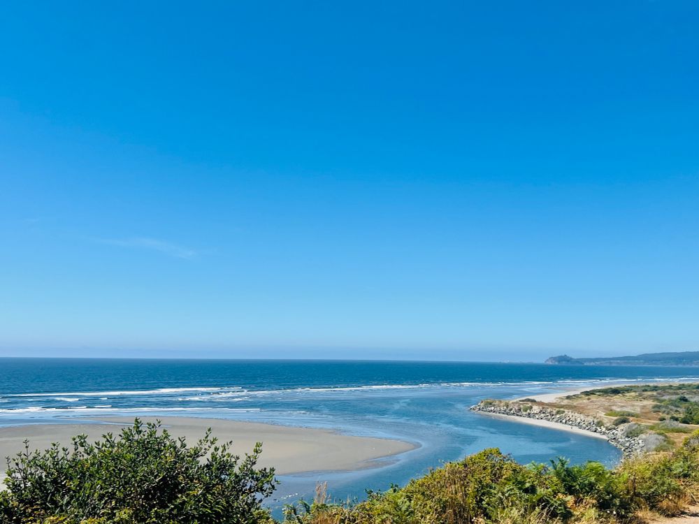 The Pacific Ocean cuts around a sandbar to make a small bay where seals are resting. (No seals in the photo.). The native plants line the top of the hill I’m standing on. Hulu can see where the light blue of shallow water meets the deep blue of the Pacific. 