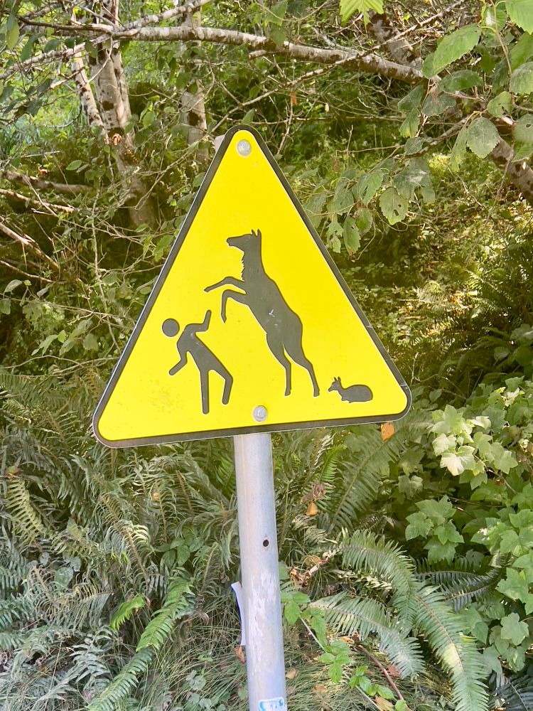 An Elk warning sign shows a mother elk attacking a human because of her baby