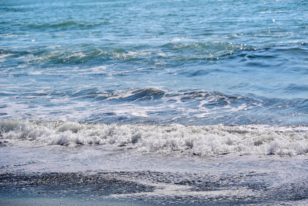 The cold green blue water of the Pacific crashes down onto the dark sand on shore. The sun shines on the water making it sparkle 