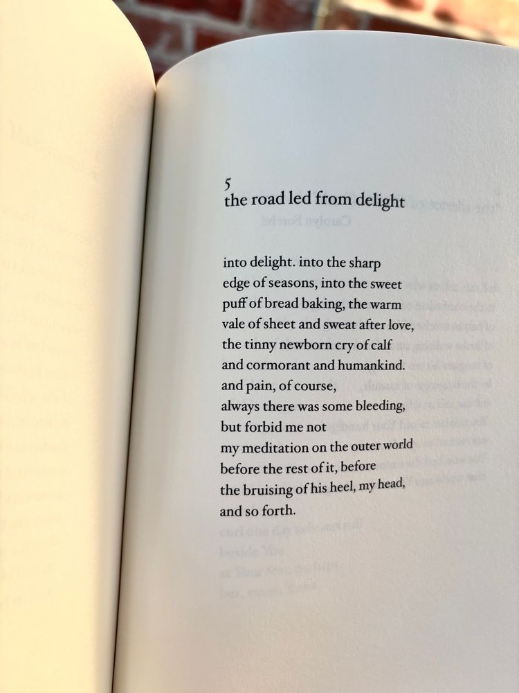 the road led from delight
into delight. into the sharp 
edge of seasons, into the sweet 
puff of bread baking, the warm 
vale of sheet and sweat after love, 
the tinny newborn cry of calf 
and cormorant and humankind. 
and pain, of course, 
always there was some bleeding, 
but forbid me not
my meditation on the outer world 
before the rest of it, before the bruising of his heel, my head, 
and so forth.