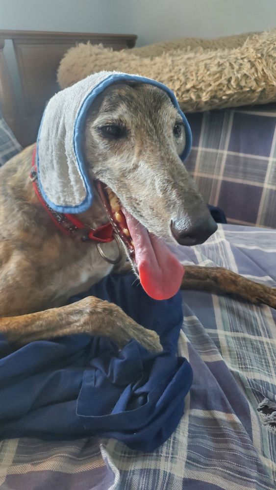 Oohh hello there mine chiledren,, its me, Granny Babushka, evryones least favorite character. Why i laughing, you ask?? Oh, just thinking of hitting you with wooden spoon.. hwee hee,.