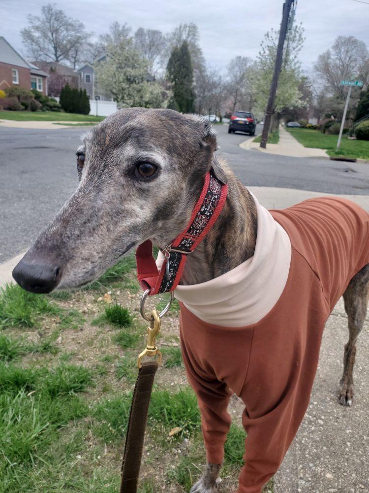 Today is a good day to wear a nice sweater. Its ok if you dont want to tho