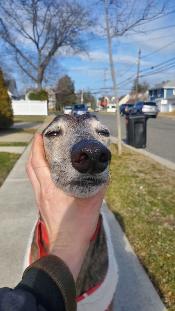 Tilt ur face upwards to collect maximum sunshine into brain